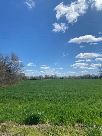 a view of a big yard with lots of green space and mountain view