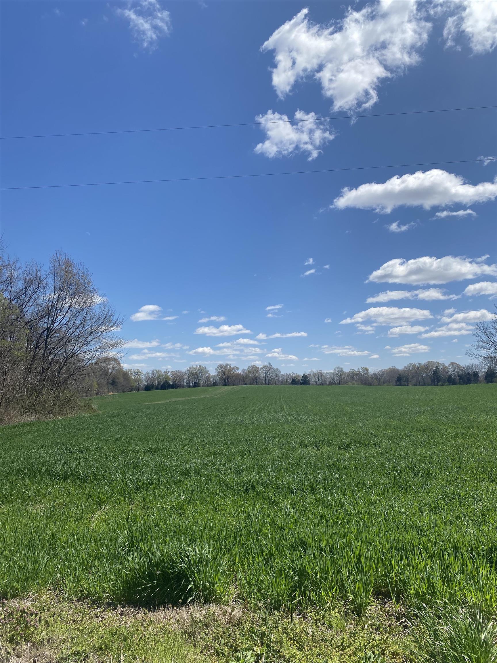 0 Fredonia Road Mason, TN 38049 - Photo 3 of 9 a view of a big yard with lots of green space and mountain view