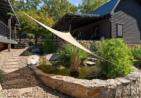 a view of a yard with plants