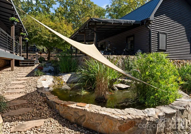 a view of a yard with plants