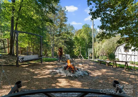 a view of a park with large trees