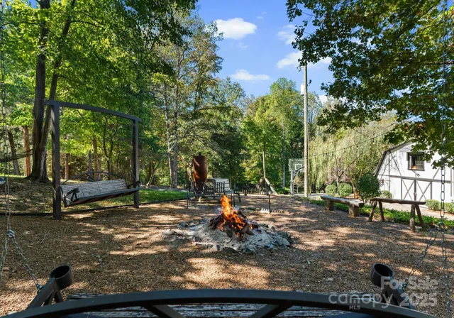 a view of a park with large trees