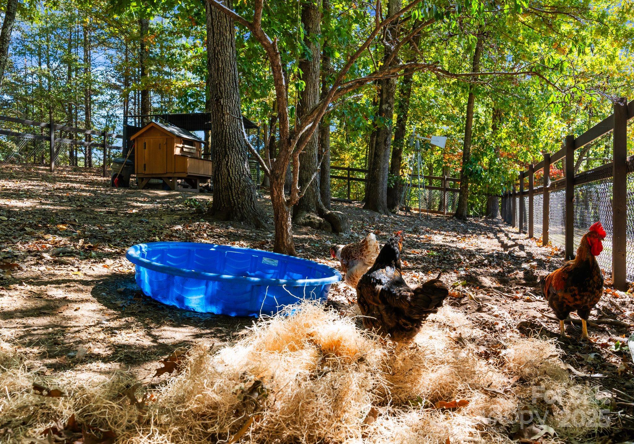 4829 Mt Olive Church Road Charlotte, NC 28278 - Photo 46 of 48