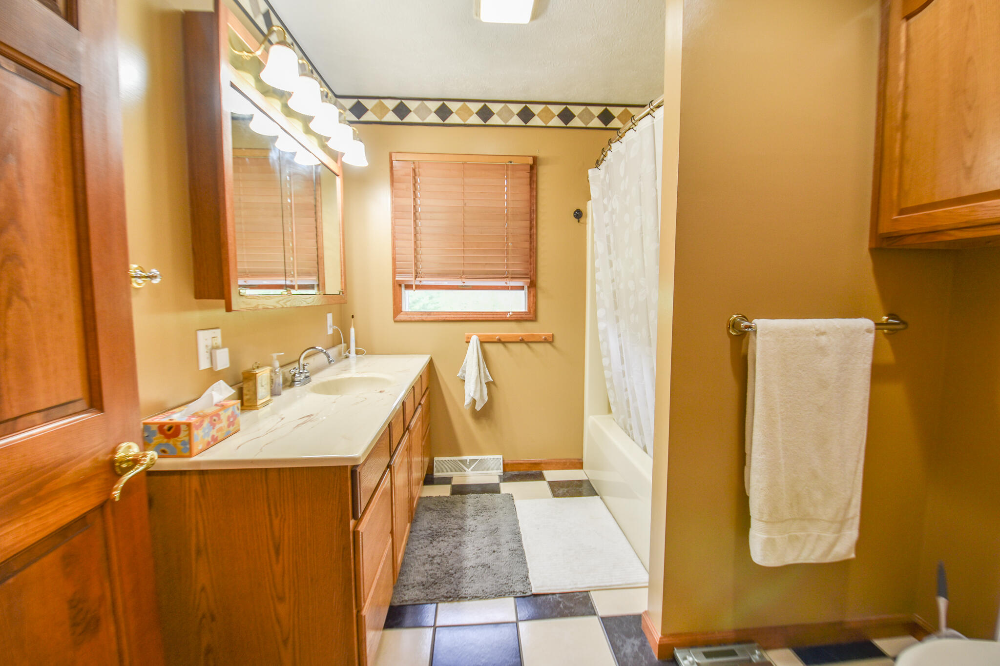 356 Jonesville Road Coldwater, MI 49036 - Photo 16 of 40 DSC_0052