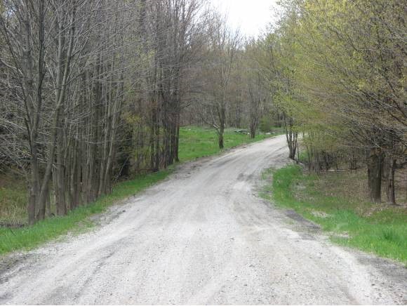 Lot 3 Spooner Road Highgate Center, VT 05459 - Photo 2 of 2 Gallery Image 2