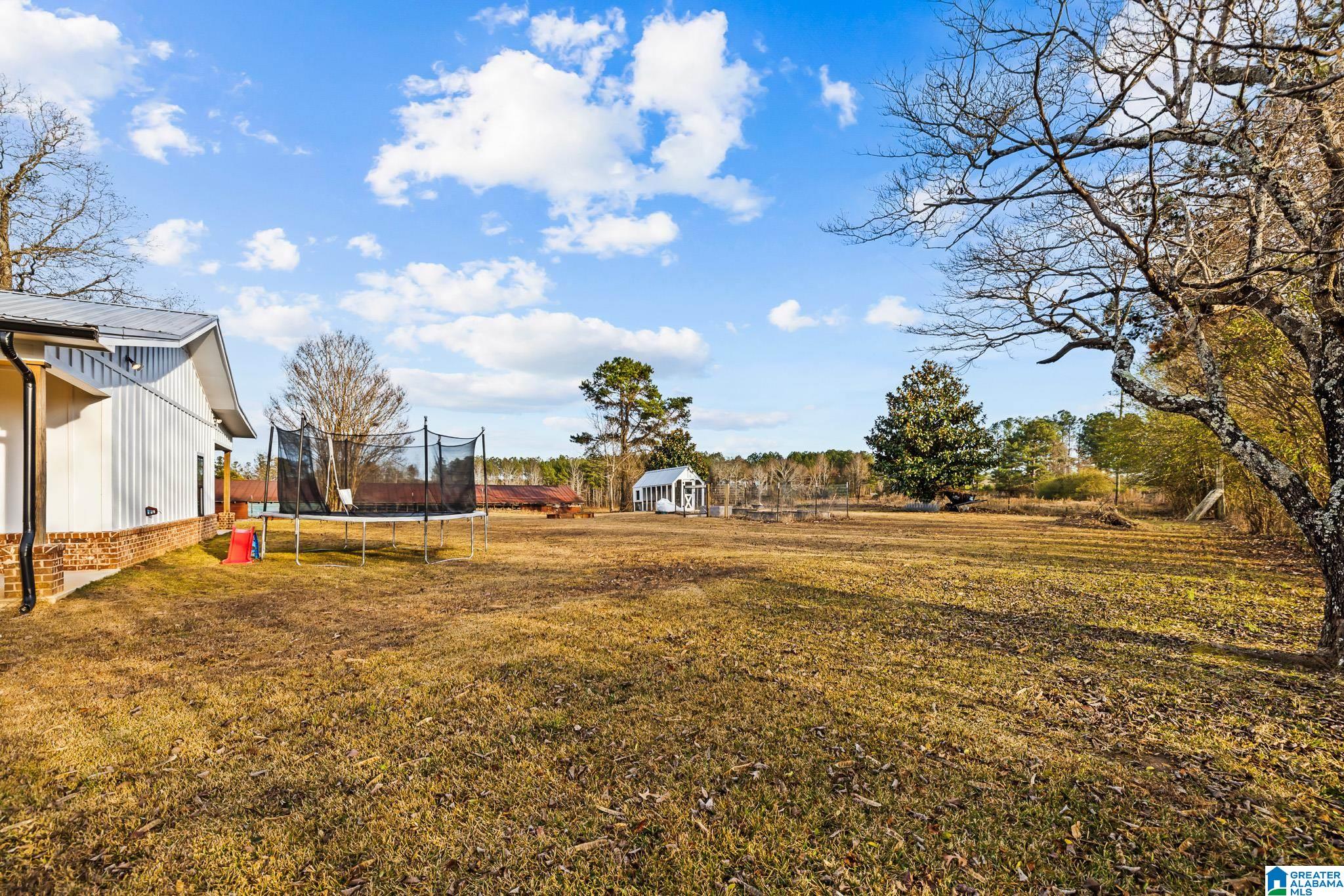 1097 Jones Chapel Road Springville, AL 35146 - Photo 42 of 44