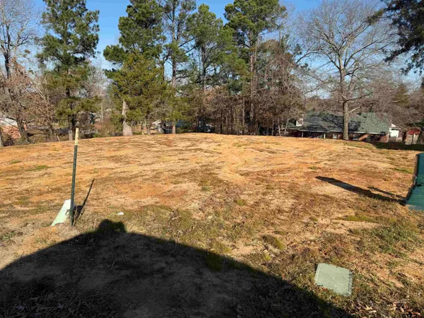 a view of yard covered with snow
