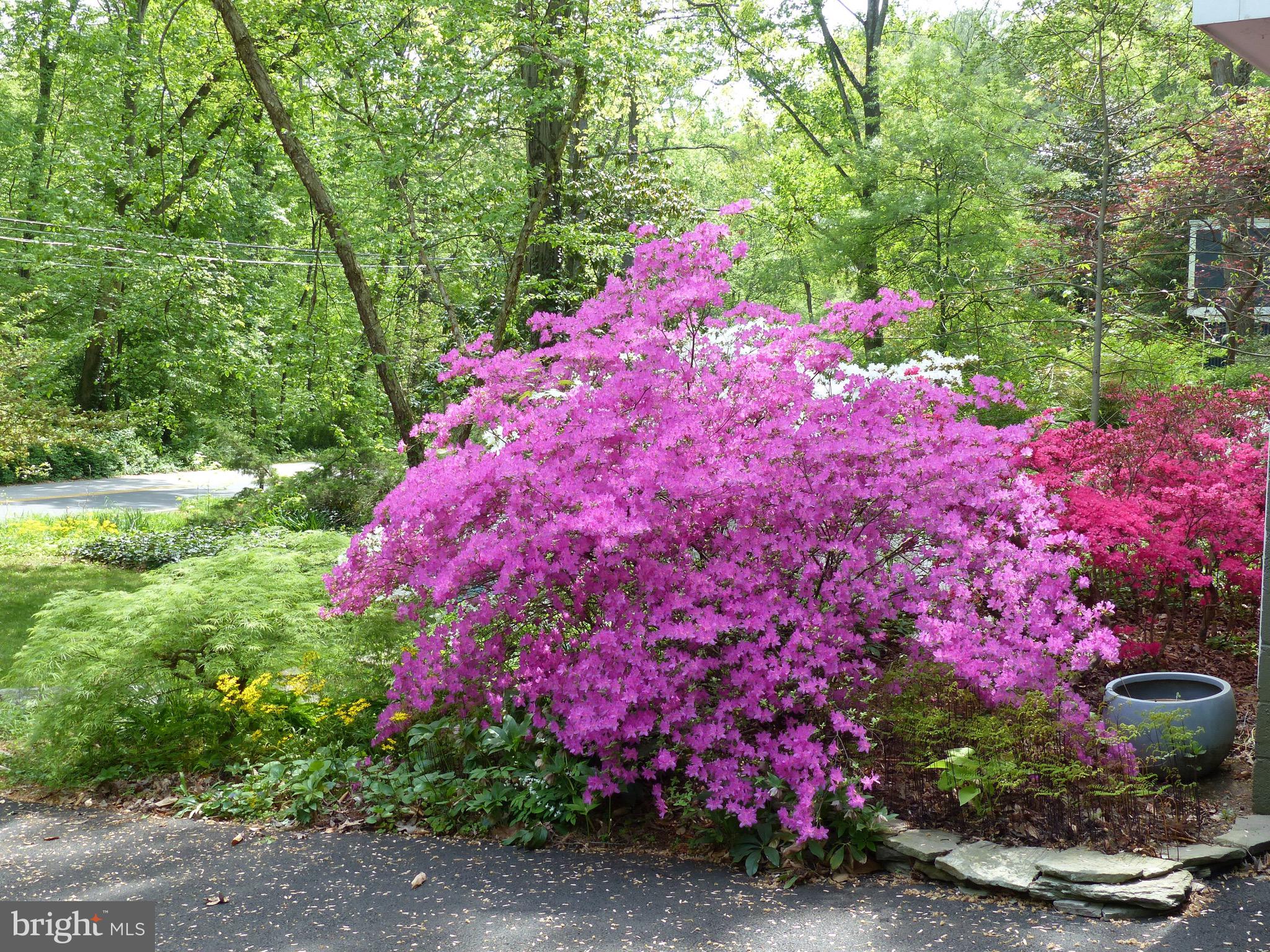 2205 Paul Spring Road Alexandria, VA 22307 - Photo 102 of 131