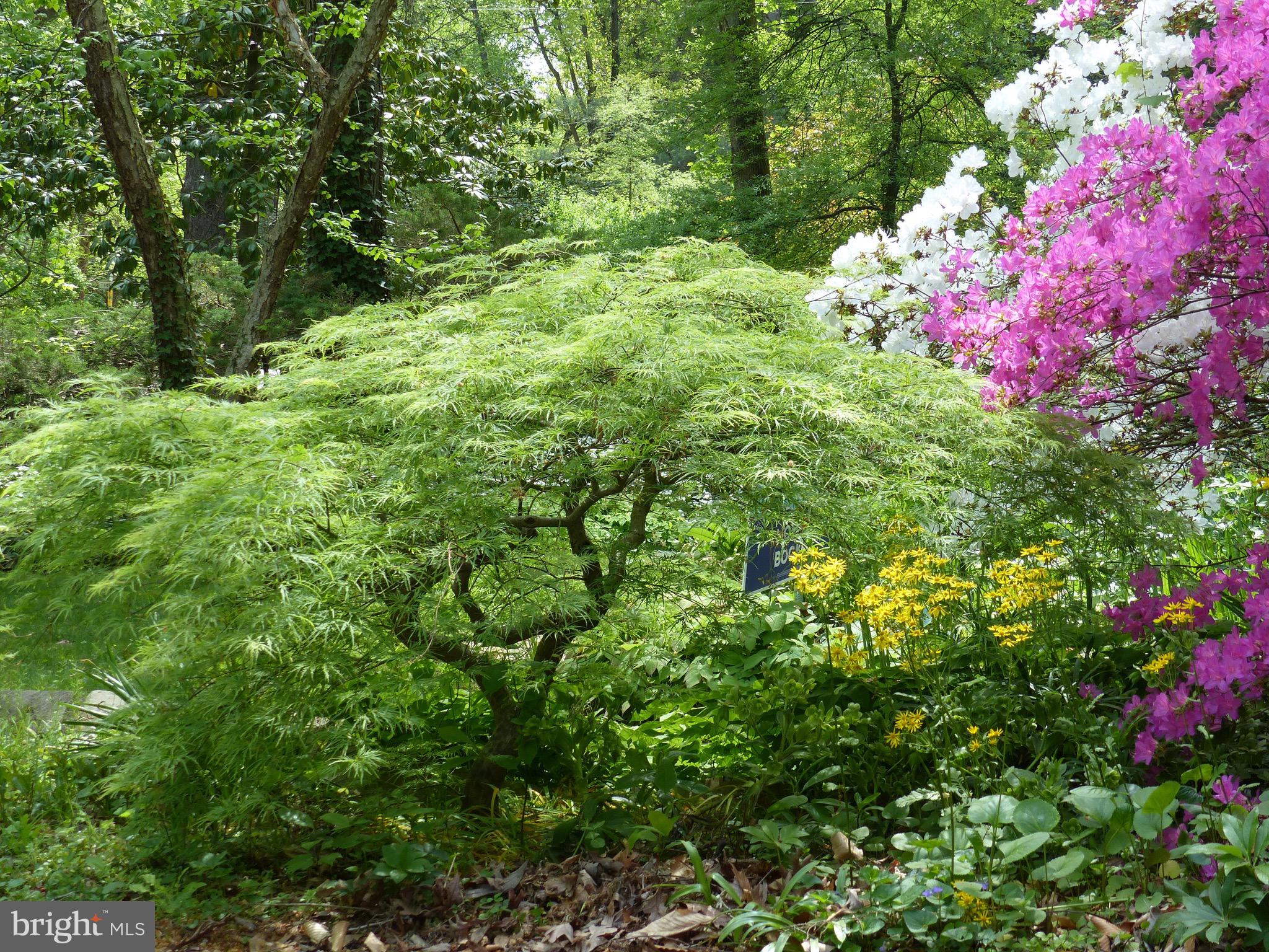 2205 Paul Spring Road Alexandria, VA 22307 - Photo 103 of 131