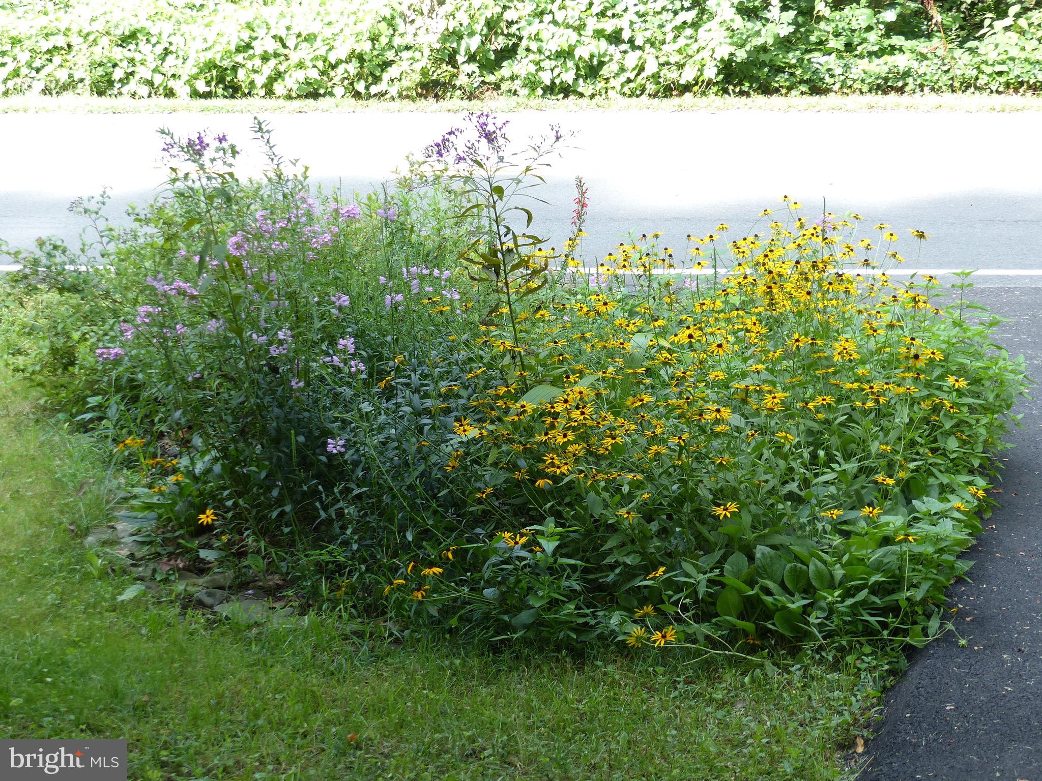 2205 Paul Spring Road Alexandria, VA 22307 - Photo 104 of 131