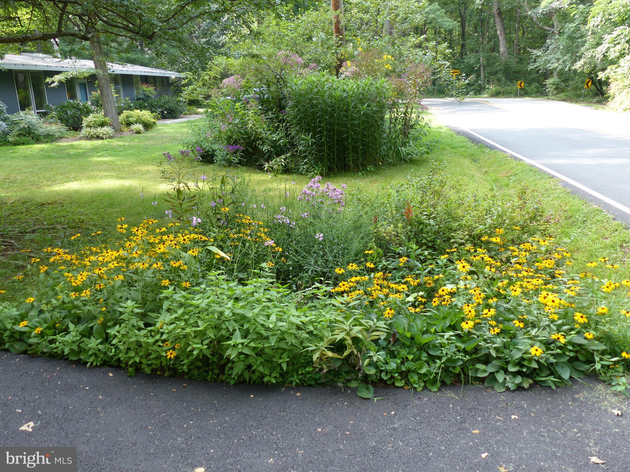 2205 Paul Spring Road Alexandria, VA 22307 - Photo 105 of 131 a view of a garden with a building