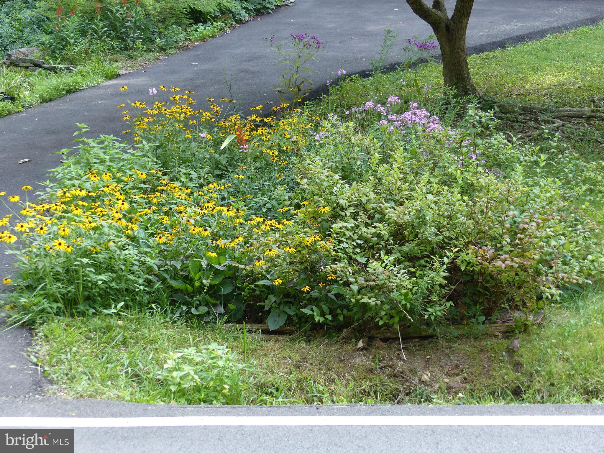 2205 Paul Spring Road Alexandria, VA 22307 - Photo 106 of 131 a backyard of a house with lots of green space