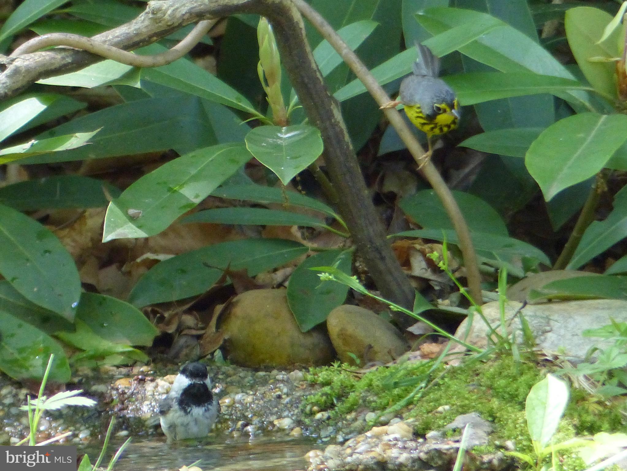 2205 Paul Spring Road Alexandria, VA 22307 - Photo 116 of 131