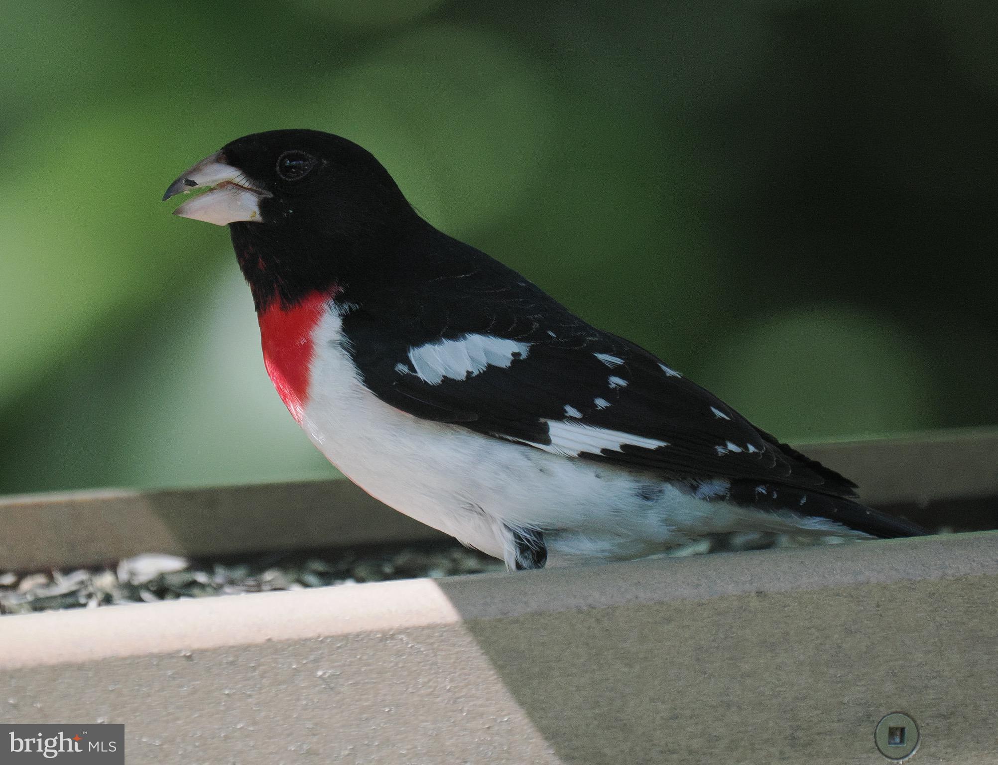 2205 Paul Spring Road Alexandria, VA 22307 - Photo 119 of 131