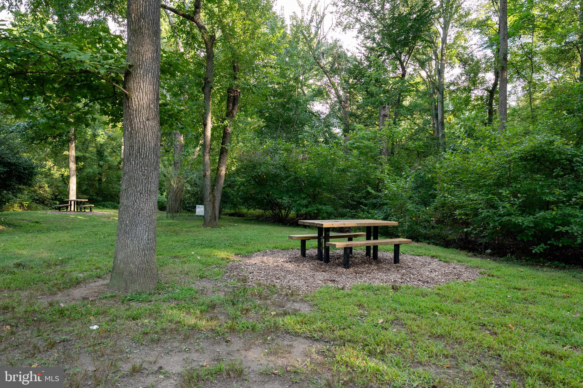 2205 Paul Spring Road Alexandria, VA 22307 - Photo 127 of 131 a view of a bench in the garden near a lake