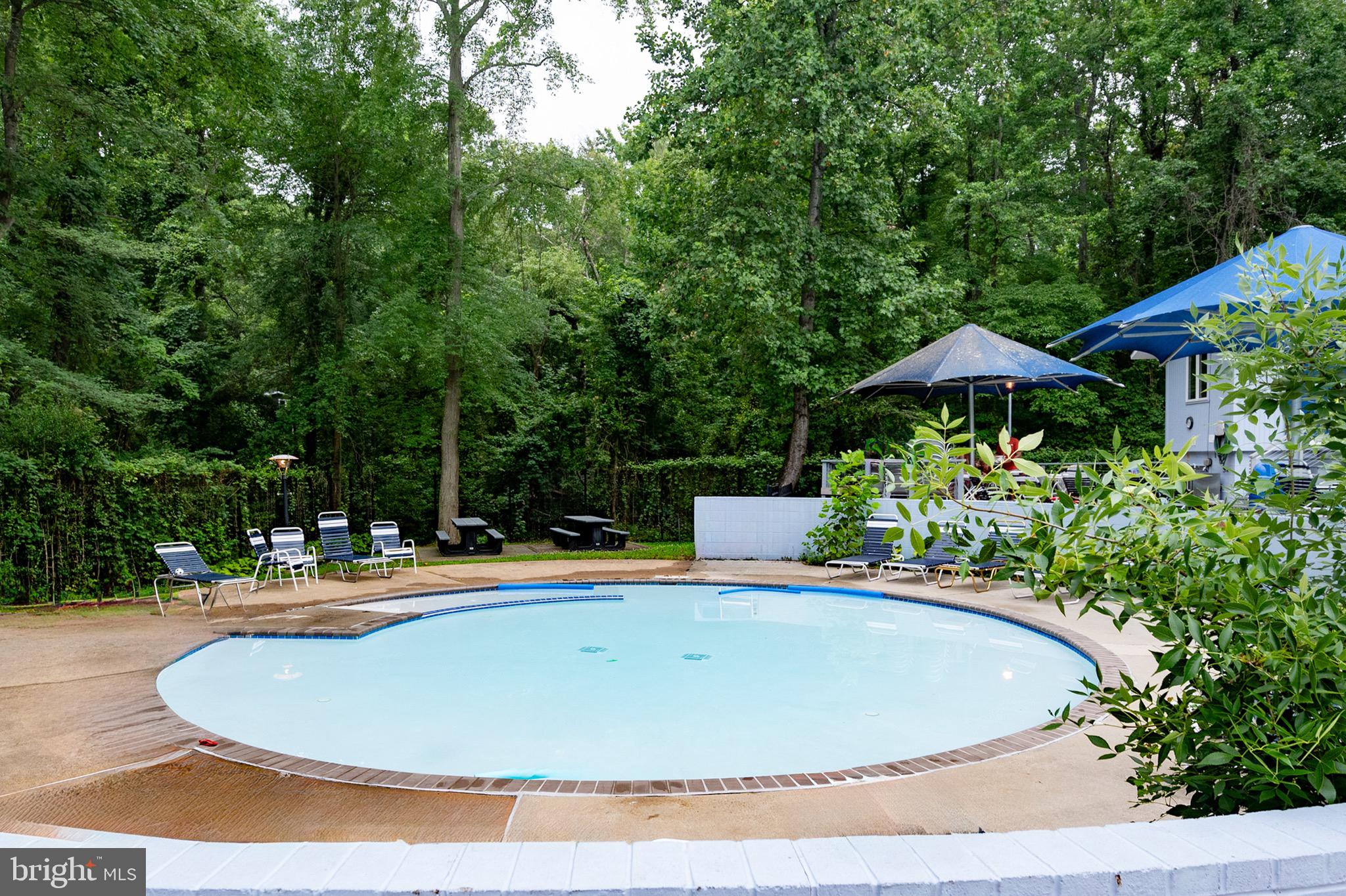 2205 Paul Spring Road Alexandria, VA 22307 - Photo 130 of 131 a view of a swimming pool with an outdoor seating
