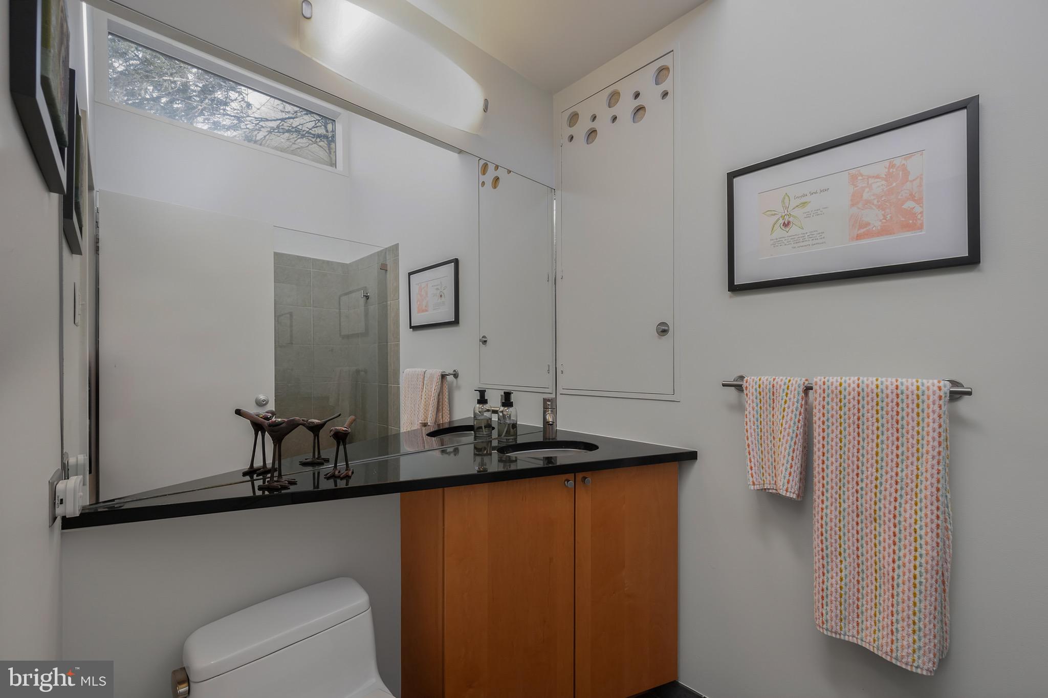 2205 Paul Spring Road Alexandria, VA 22307 - Photo 37 of 131 a bathroom with a sink and a mirror