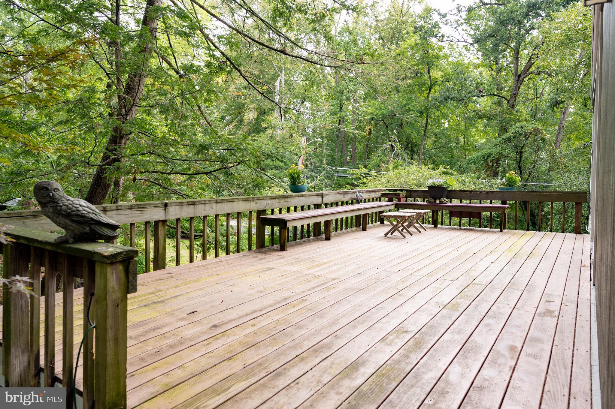 2205 Paul Spring Road Alexandria, VA 22307 - Photo 68 of 131