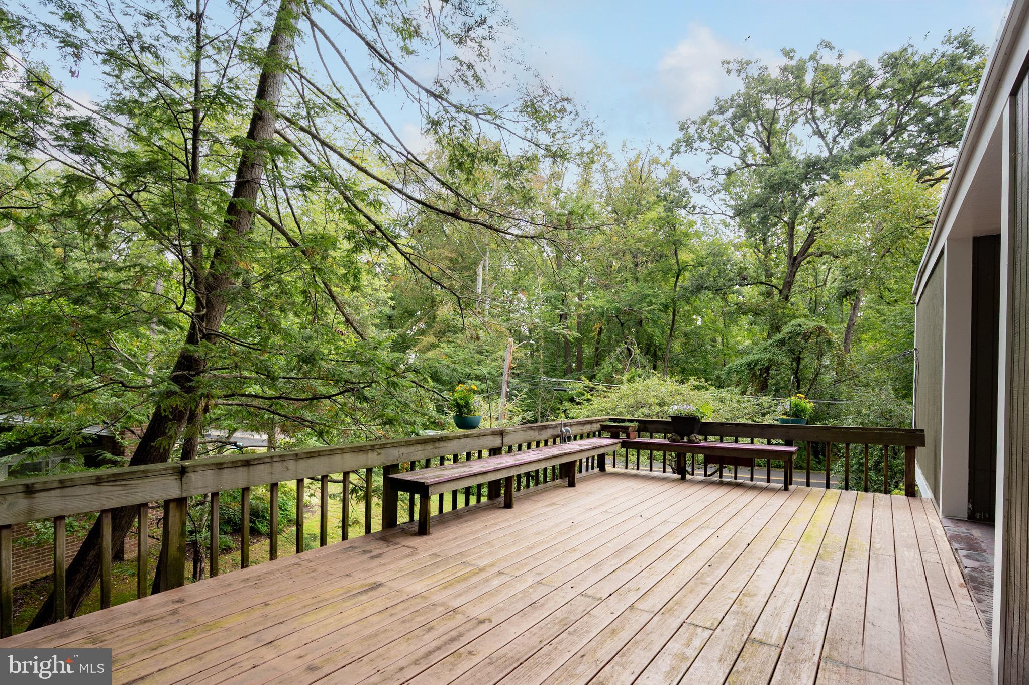 2205 Paul Spring Road Alexandria, VA 22307 - Photo 69 of 131