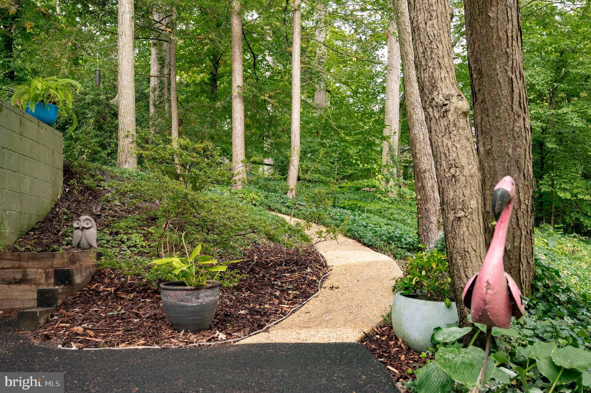 2205 Paul Spring Road Alexandria, VA 22307 - Photo 74 of 131