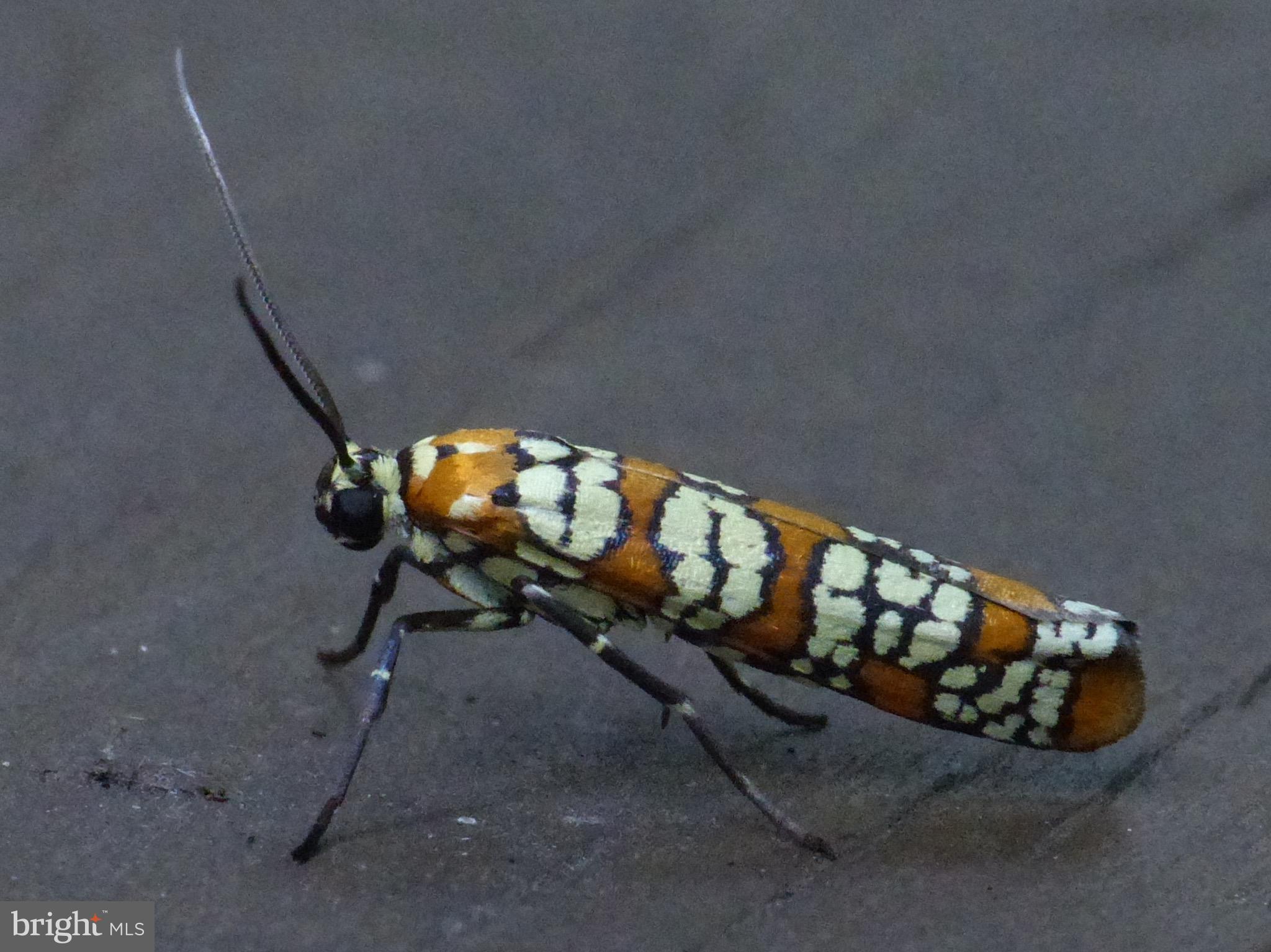 2205 Paul Spring Road Alexandria, VA 22307 - Photo 87 of 131 a view of a room with gym equipment
