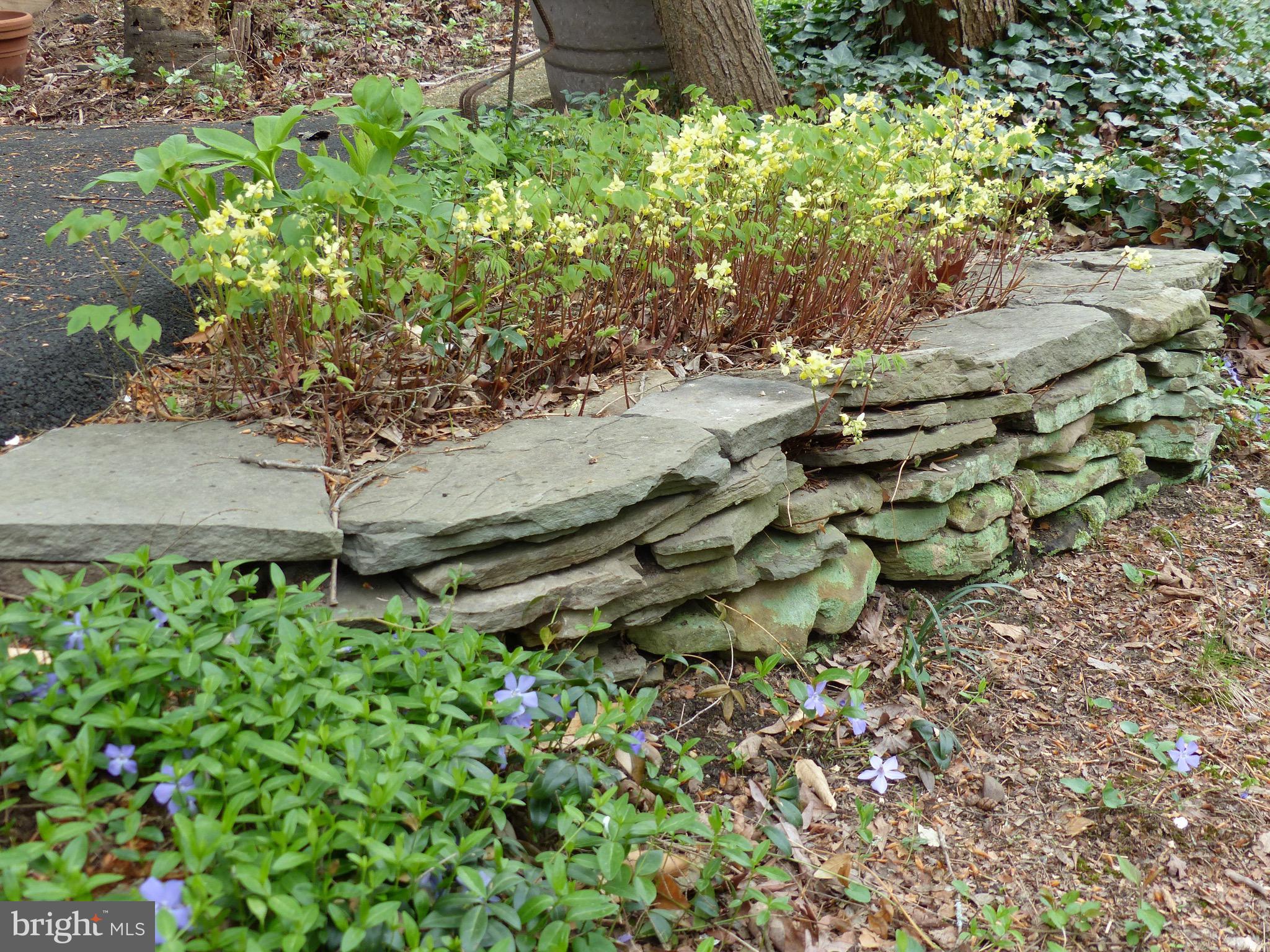 2205 Paul Spring Road Alexandria, VA 22307 - Photo 90 of 131