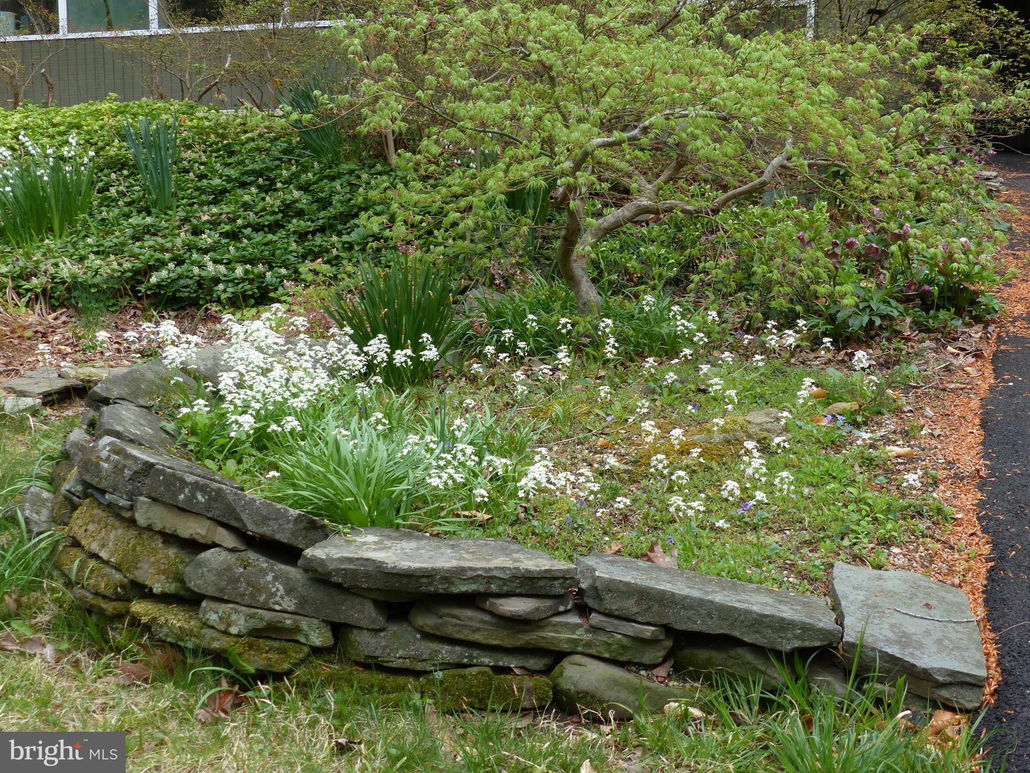 2205 Paul Spring Road Alexandria, VA 22307 - Photo 91 of 131 a backyard of a house with lots of green space