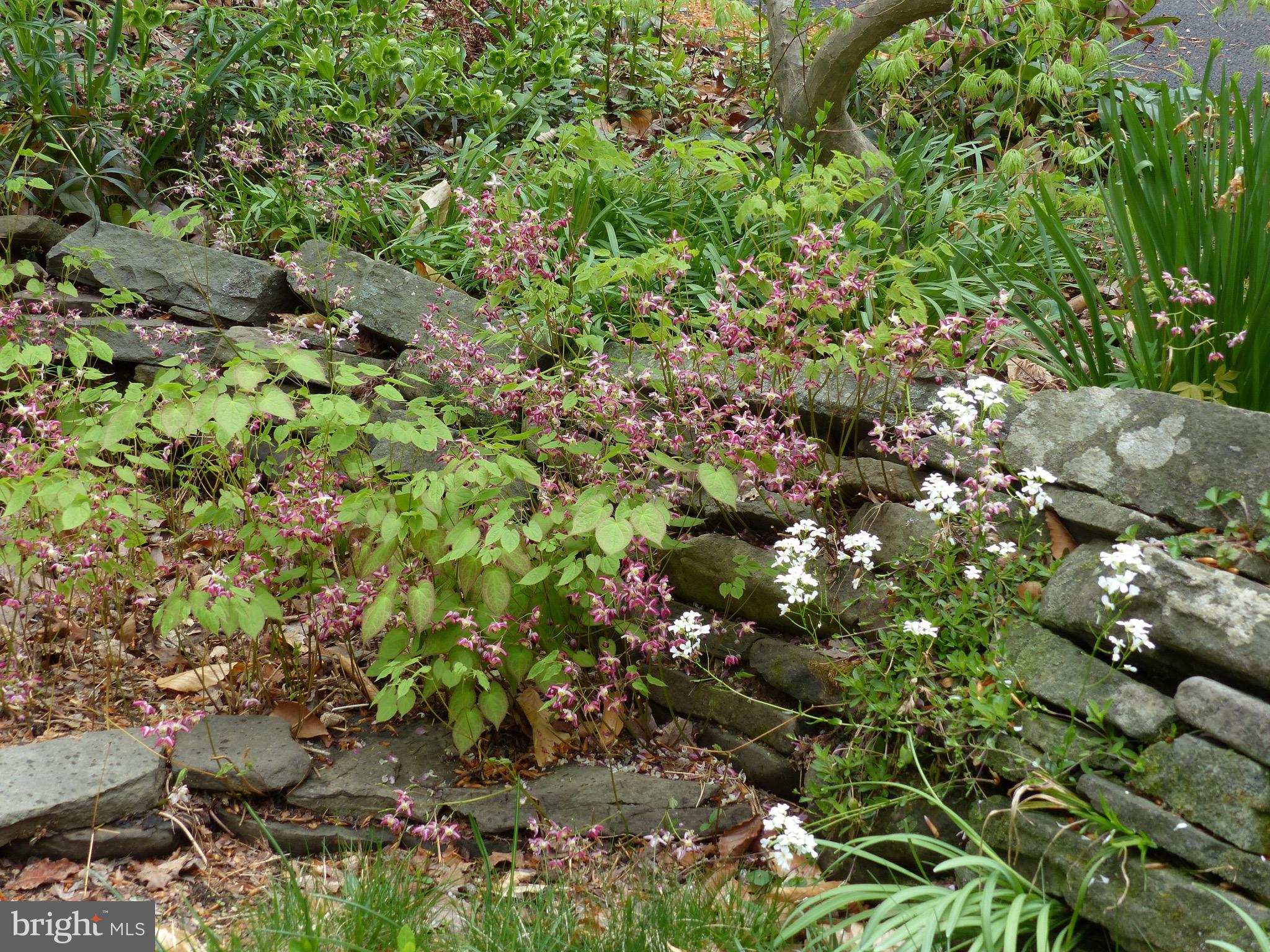 2205 Paul Spring Road Alexandria, VA 22307 - Photo 92 of 131