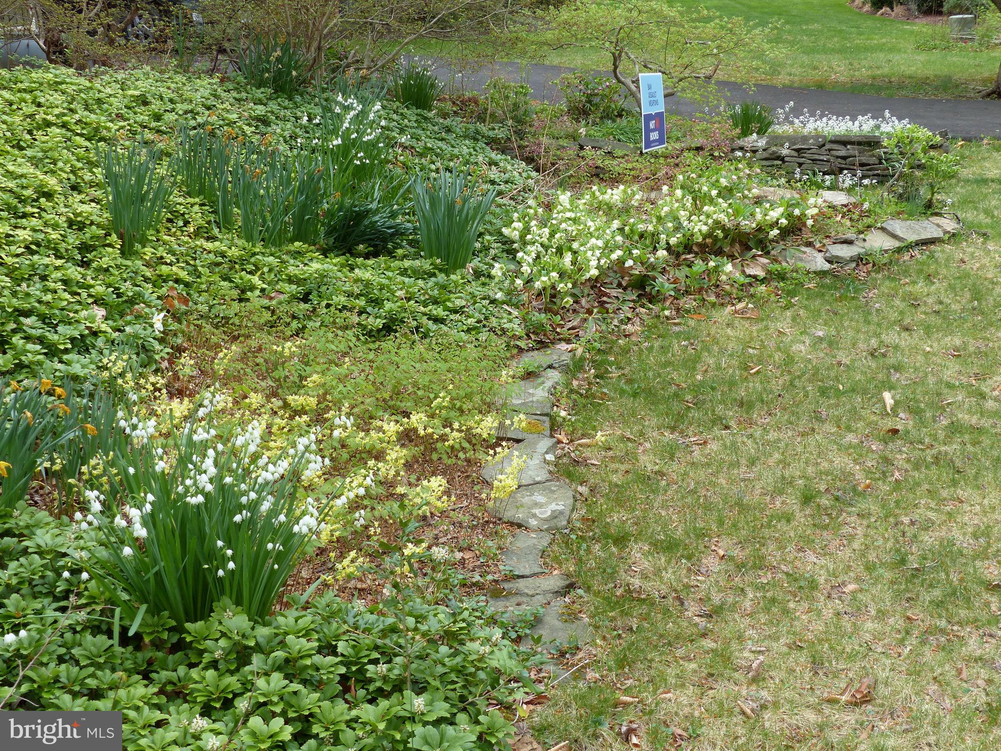 2205 Paul Spring Road Alexandria, VA 22307 - Photo 93 of 131