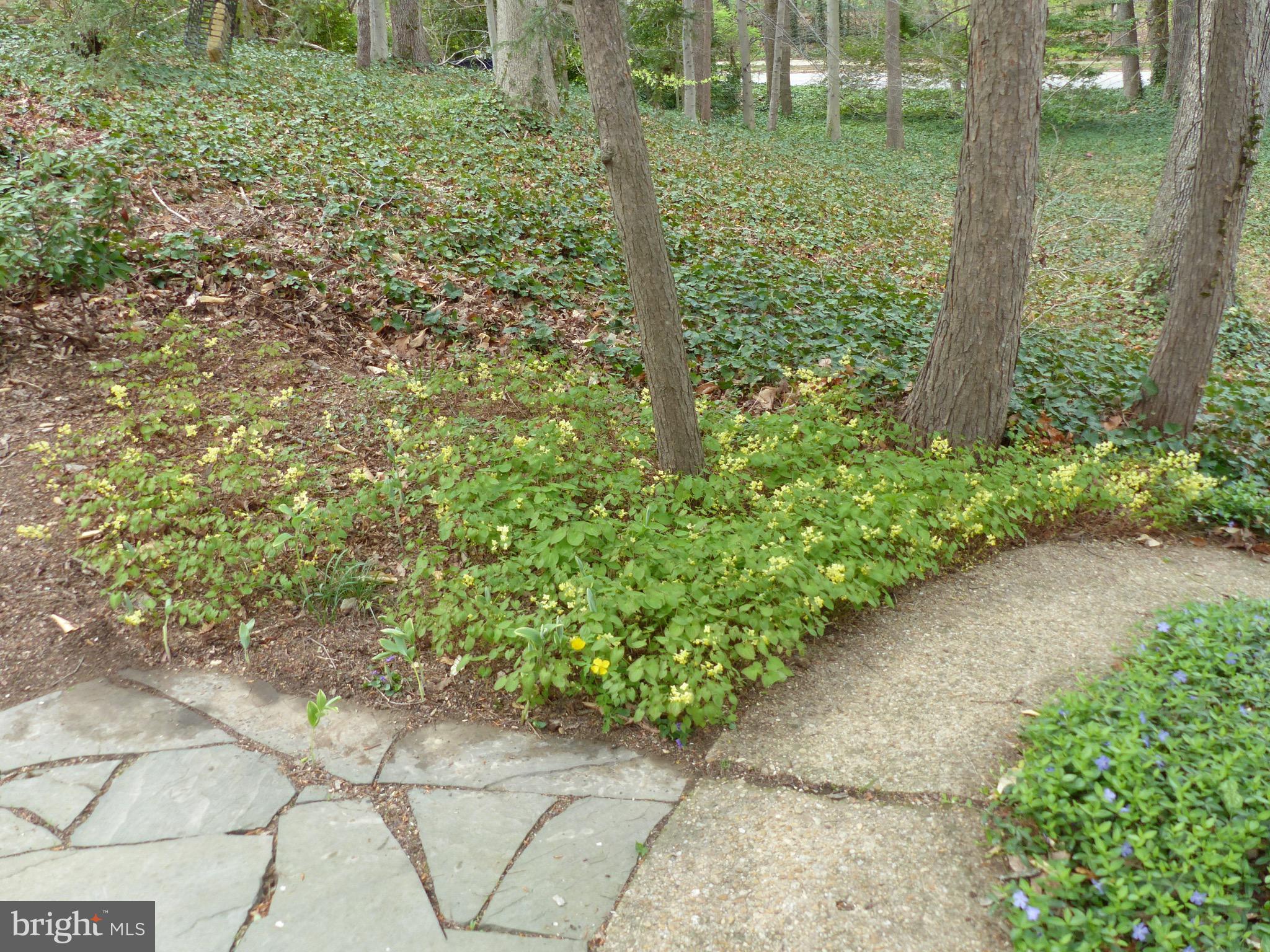 2205 Paul Spring Road Alexandria, VA 22307 - Photo 96 of 131