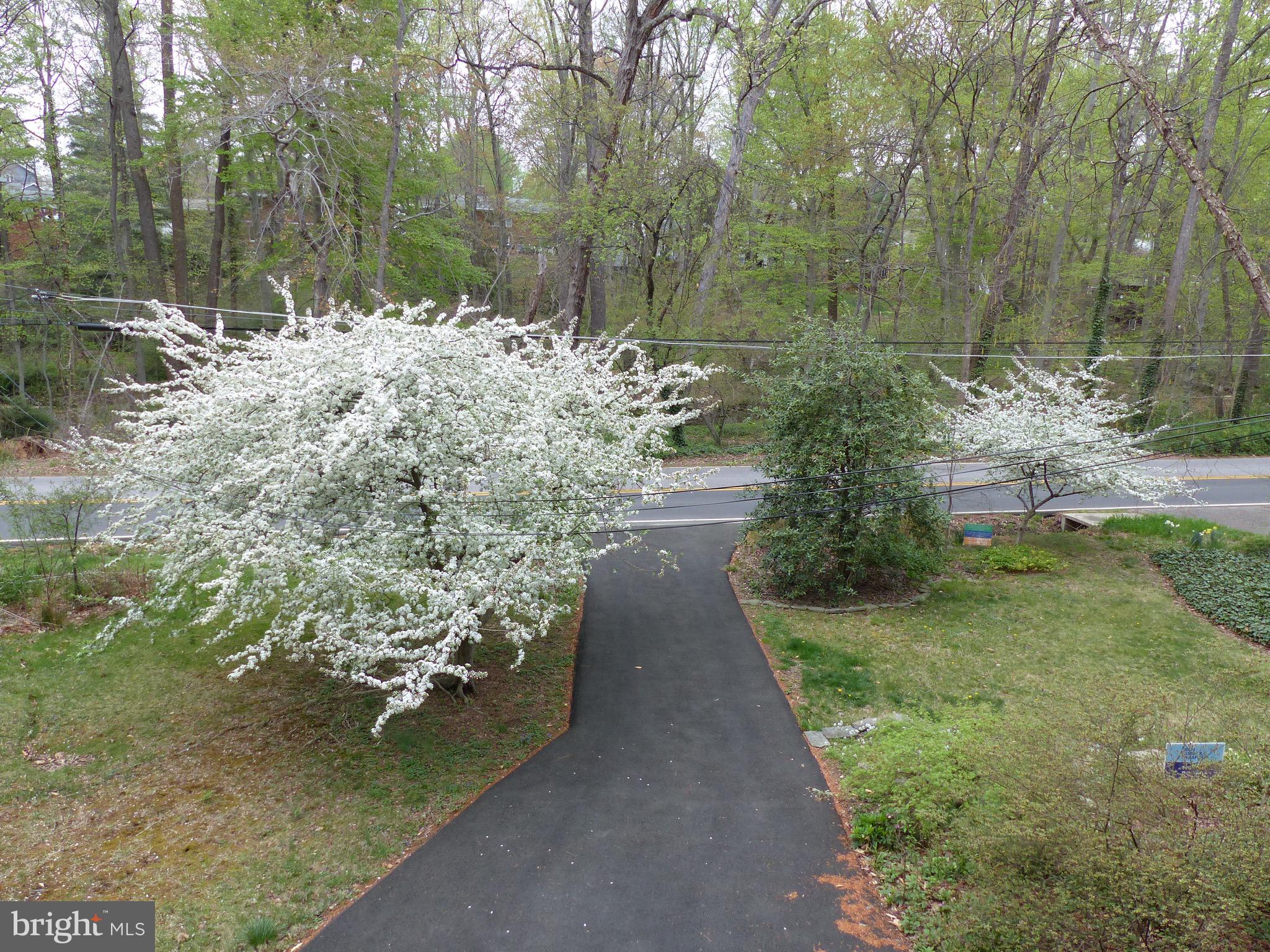 2205 Paul Spring Road Alexandria, VA 22307 - Photo 97 of 131