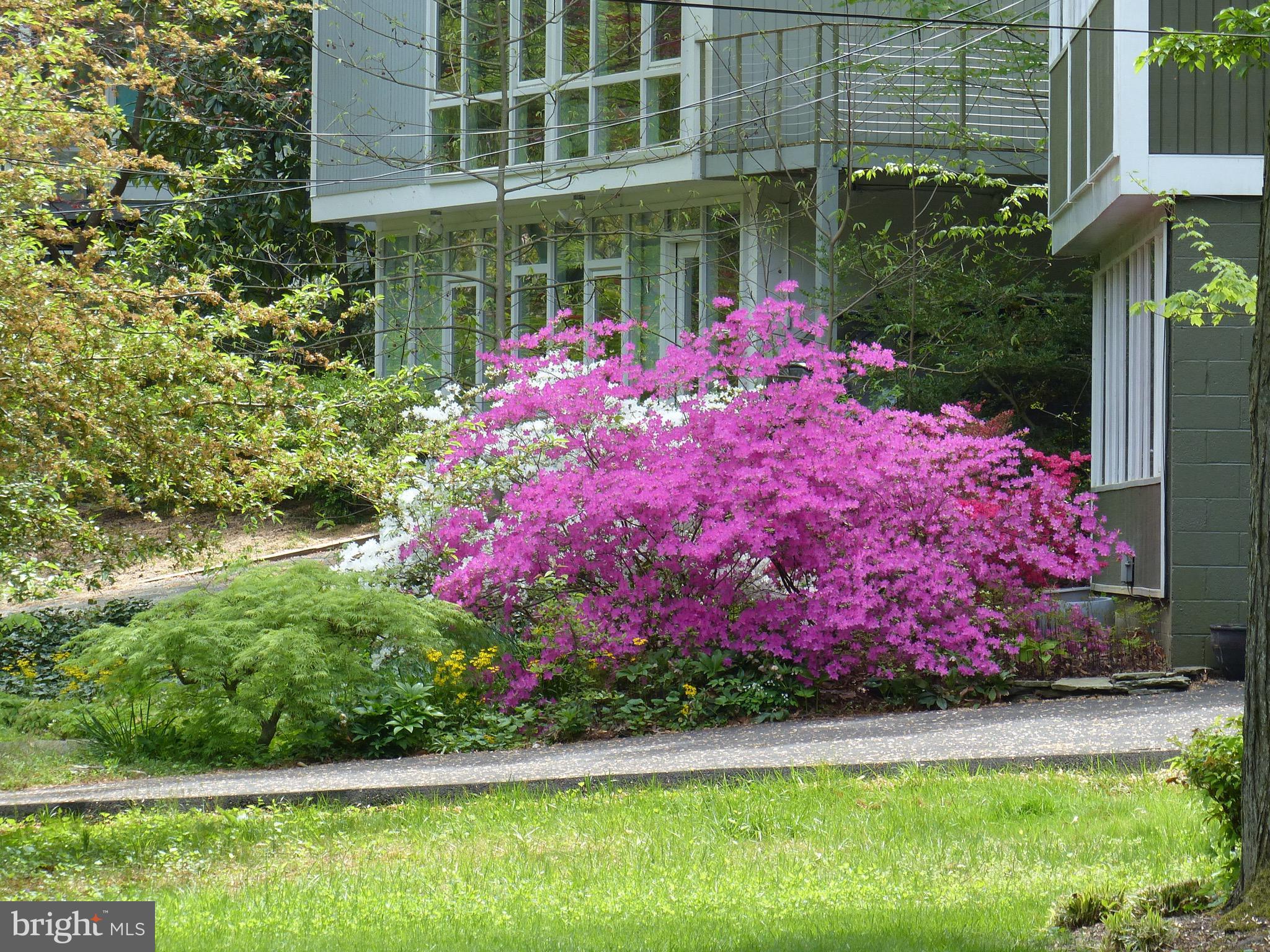 2205 Paul Spring Road Alexandria, VA 22307 - Photo 98 of 131