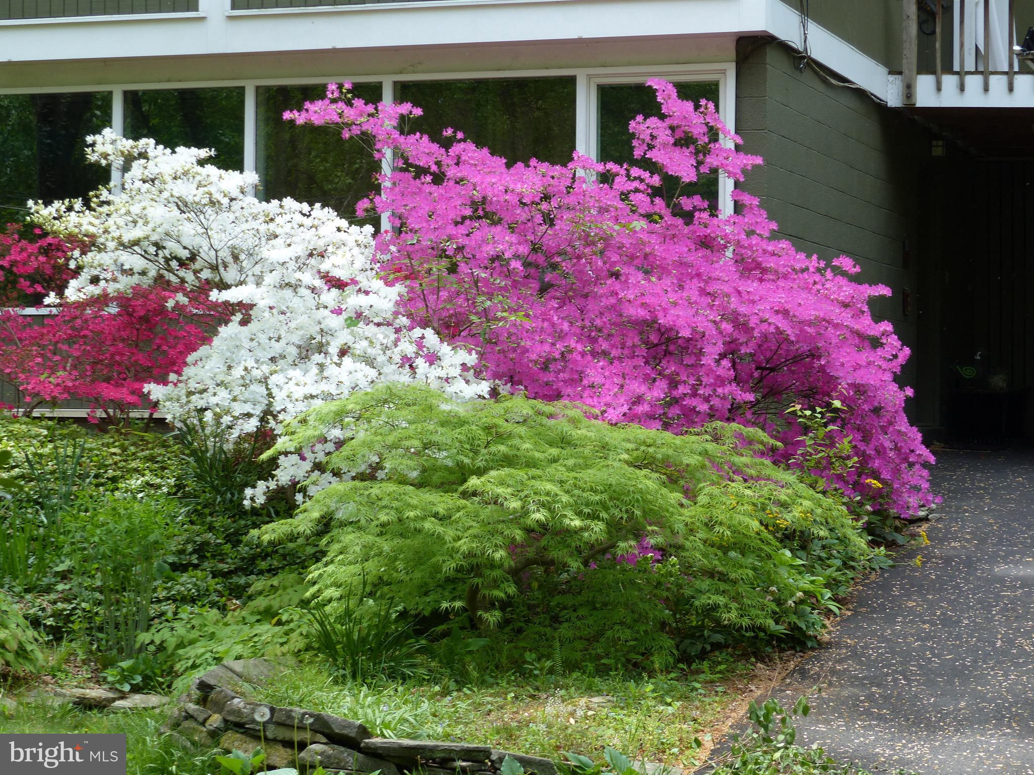 2205 Paul Spring Road Alexandria, VA 22307 - Photo 99 of 131