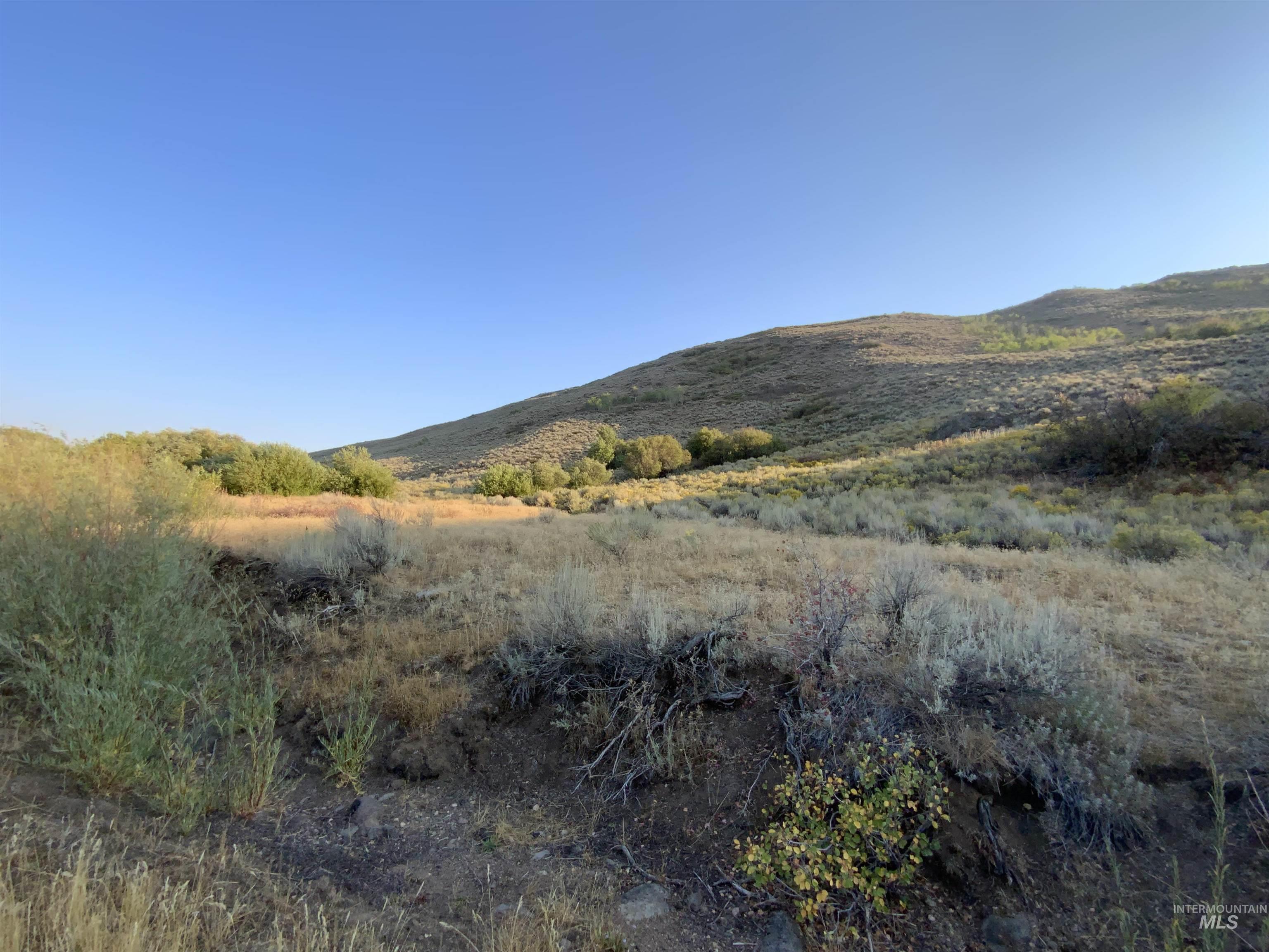 Poison Creek Road Bellevue, ID 83313 - Photo 11 of 18 Gallery Image 11