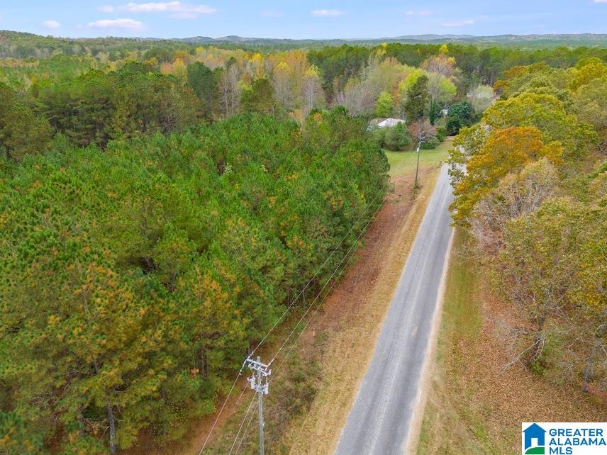 607 County Road 88 Fruithurst, AL 36262 - Photo 15 of 16