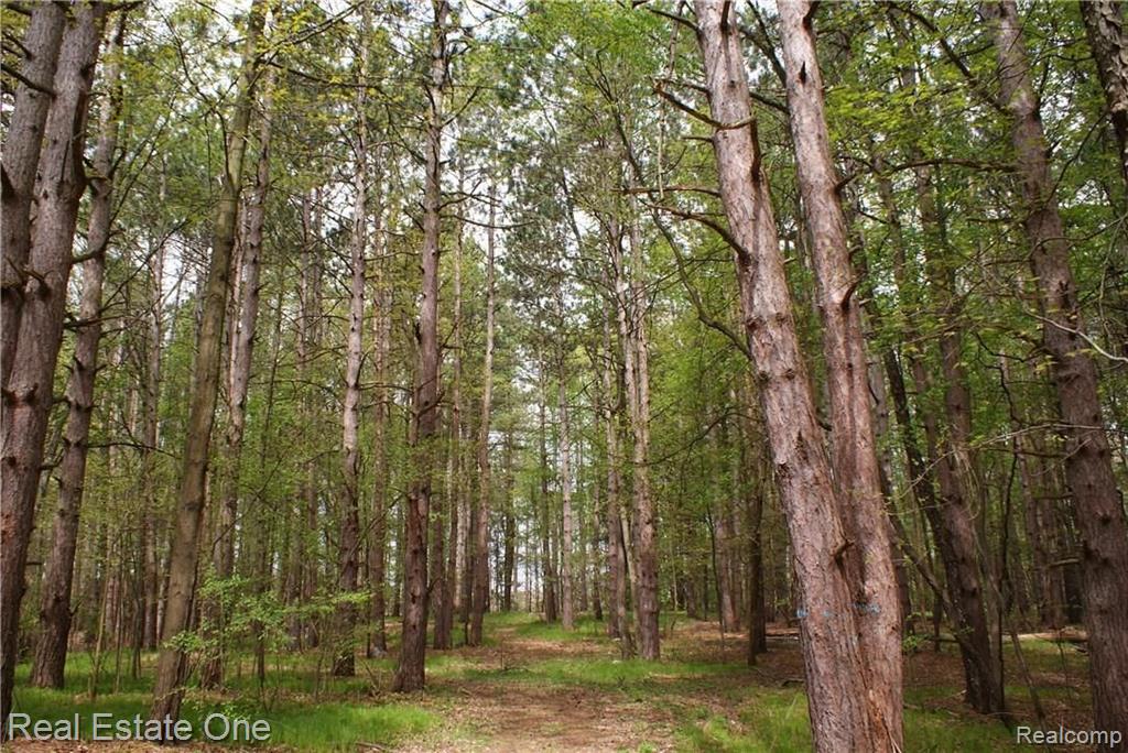 2 McKeen Lake Road Columbiaville, MI 48421 - Photo 50 of 51