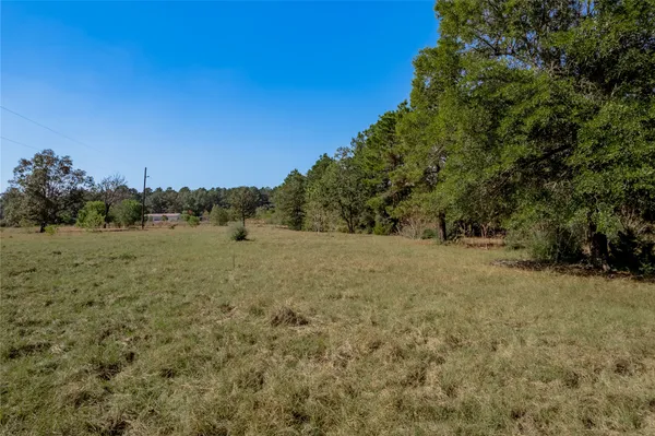 a view of a field of grass and trees