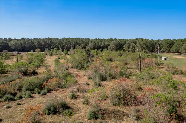 $140,920 | 1525 Odessa Drive, Trinity, TX 75862