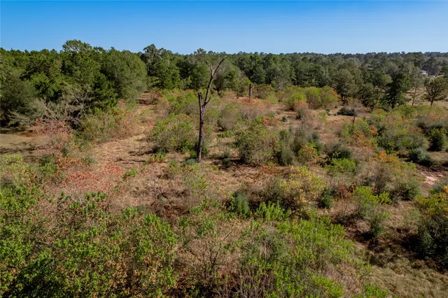 $140,920 | 1525 Odessa Drive, Trinity, TX 75862