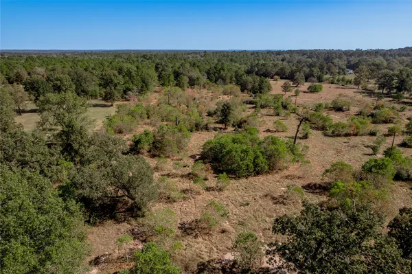 a view of a bunch of trees and houses