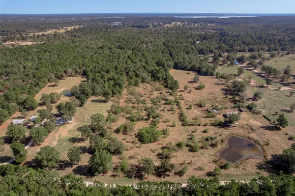 a view of a mountain with a forest