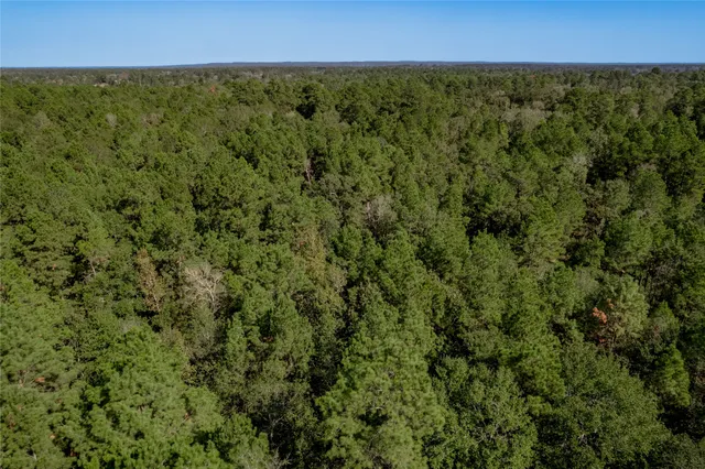 $140,920 | 1525 Odessa Drive, Trinity, TX 75862