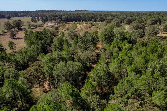 $140,920 | 1525 Odessa Drive, Trinity, TX 75862