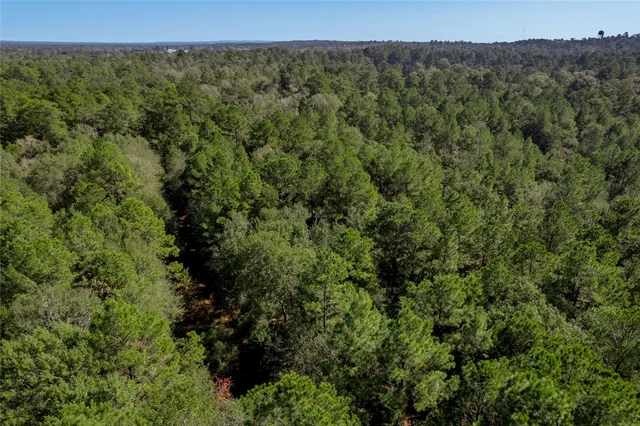 $140,920 | 1525 Odessa Drive, Trinity, TX 75862