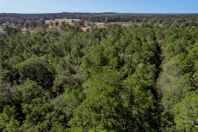 $140,920 | 1525 Odessa Drive, Trinity, TX 75862