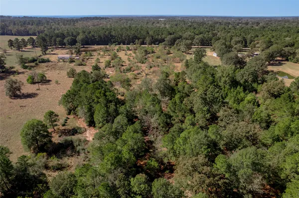 a view of a forest with a forest