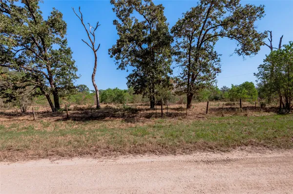 a view of backyard of green space