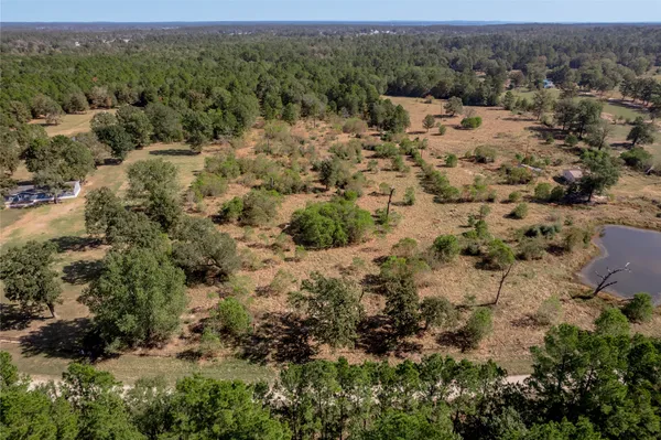 an aerial view of mountain with trees all around