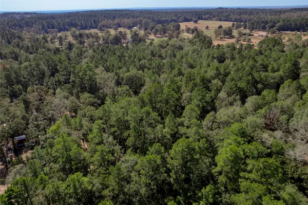 an aerial view of a houses with a lush green forest