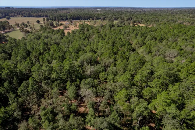 $140,920 | 1525 Odessa Drive, Trinity, TX 75862